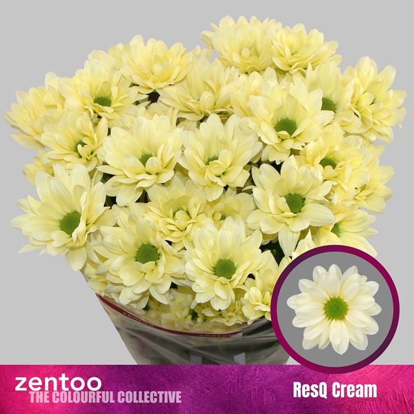 Chr T Resq Cream 100gram 70cm
