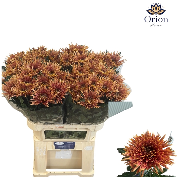 Chr G Tula Copper 70gram 80cm