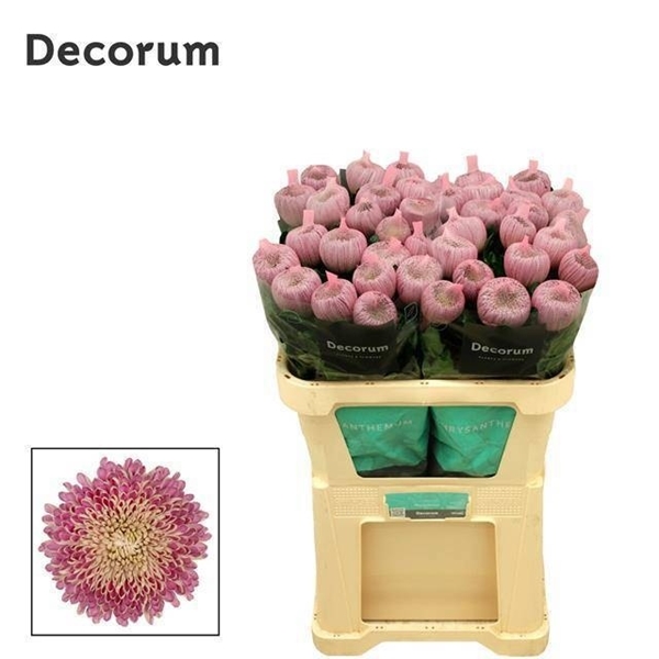 Chr G Couture 110gram 70cm